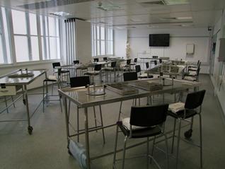 Photo of course in the laboratory